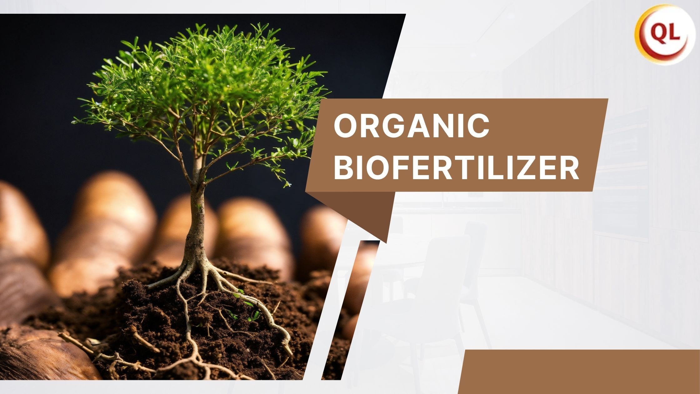 Why Organic Biofertilizer Is Essential for Sustainable Farming Practices