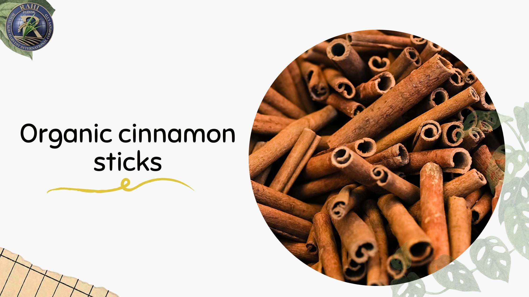 Why Organic Cinnamon Sticks Are the New Favorite Among Health Enthusiasts