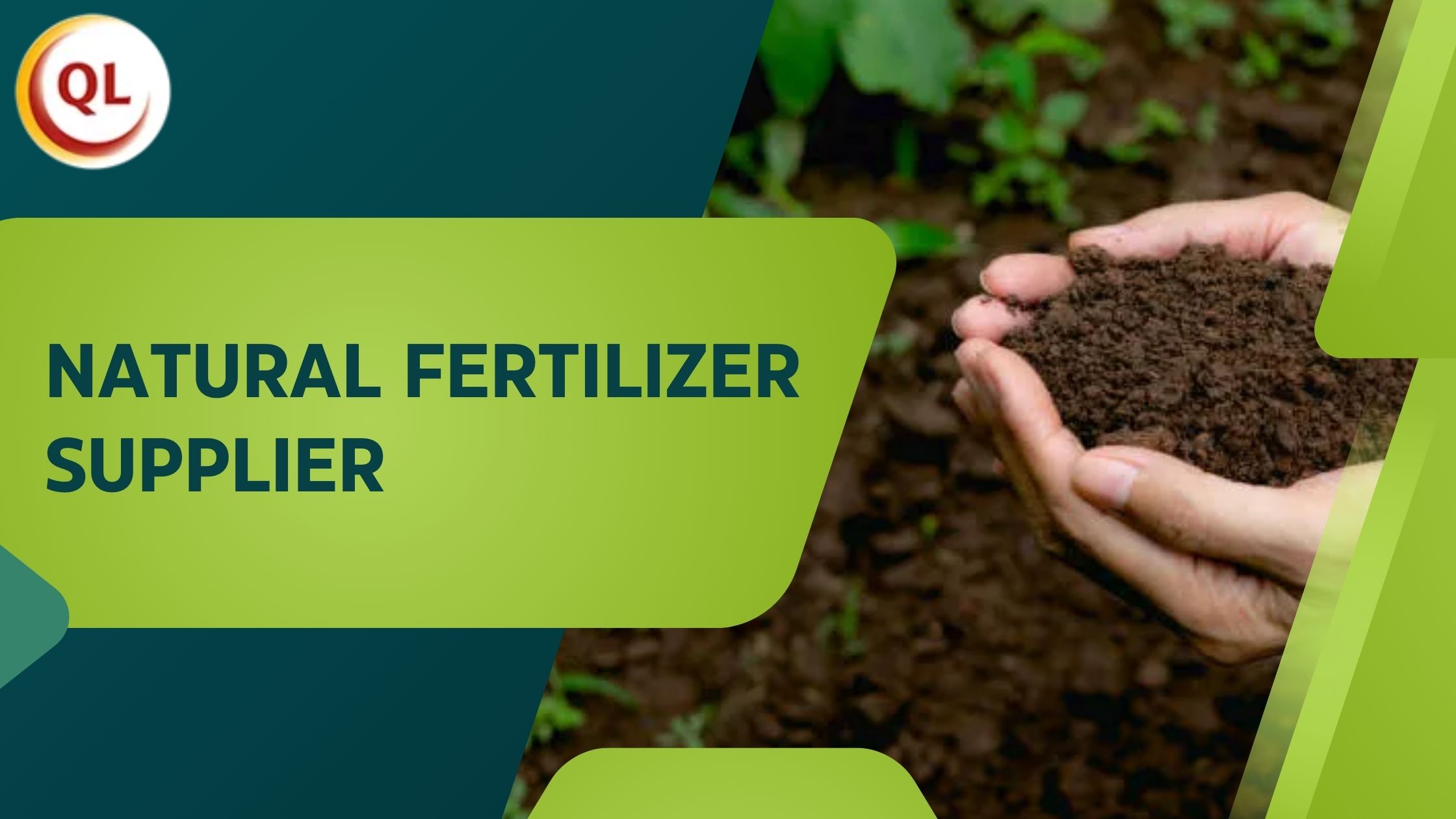 Why Small and Large Farms Need a Professional Natural Fertilizer Supplier