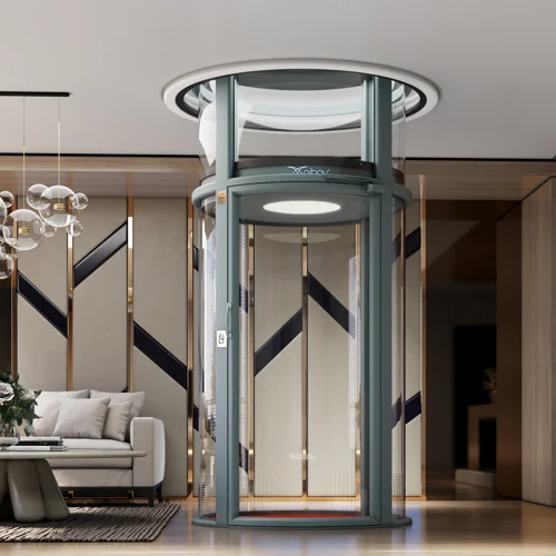 What Is the Cost of a 2 Person Home Lift?